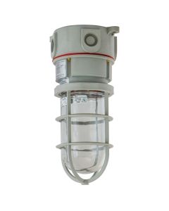 Non-Metallic Vaportight Incandescent Fixture