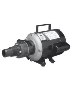 Heavy Duty Macerator Pump - 115V AC Voltage 