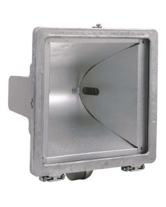 Quartz Floodlight