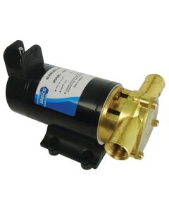 Reversible Rotary Vane Pump 