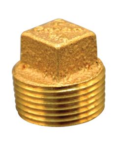 Brass Pipe Plugs (1/8” NPT)