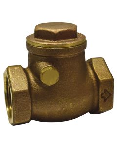 Swing Check Valves (3/4” NPT)