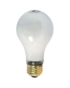 Medium Screw Bulb