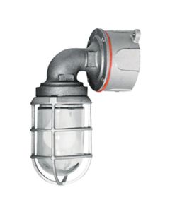 ProGuard Lighting Wall Mount Incandescent Fixture