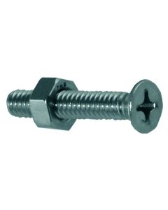 Phillips Pan Machine Screws with Nut (1/4-20 x 3, 2 pcs)